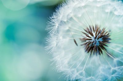 8446-wallpaper-1969607